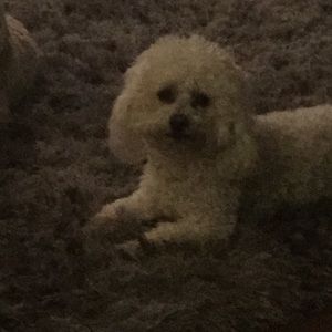 Meet your Posher, Gary